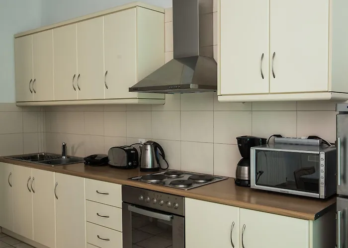 尼瑞艾斯别墅酒店 *