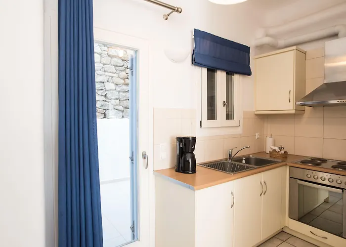 尼瑞艾斯别墅酒店 *